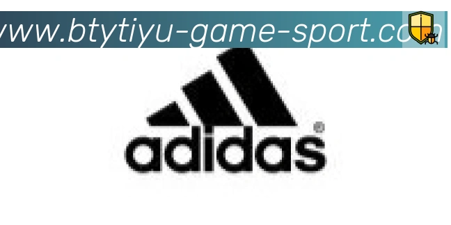 B体育官网合作伙伴